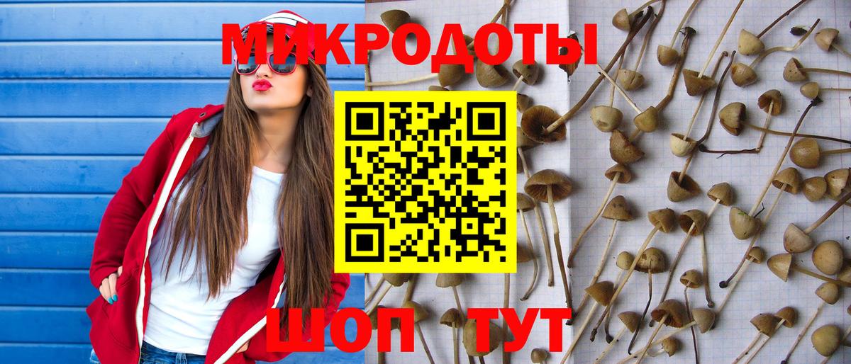 Галлюциногенные грибы прущие грибы Семёнов