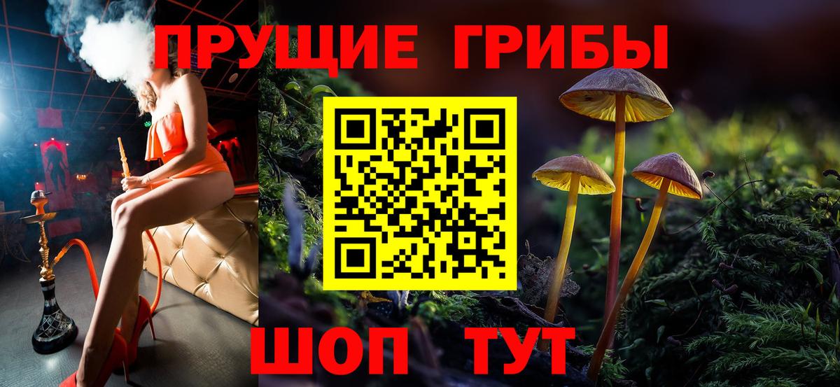 Семёнов  Галлюциногенные грибы Psilocybe  где продают   Вход с VPN  Псилоцибиновые грибы ЛСД 